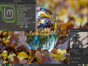 Cinnamon Linux Mint 18.3 Sylvia